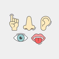 Sense organs flat vector icons. Hearing, smell, touch, vision, taste flat vector icons