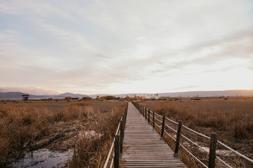 Fototapeta premium Image of the nature of Turkey, Cappadocia