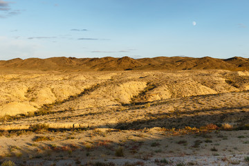 Fototapeta na wymiar beautiful landscape of the gobi desert, mongolia