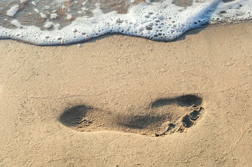 Single footprint at sea beach.