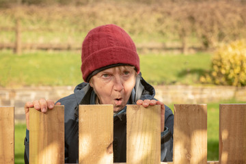 Shocked mature woman looking over fence  - obrazy, fototapety, plakaty