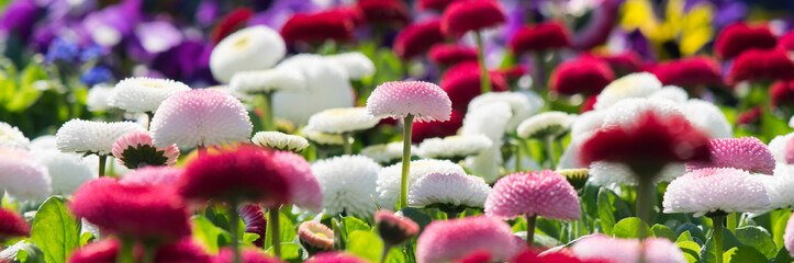 Meer aus Blumen - Banner