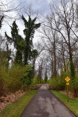 Views of Bridges and Pathways along the Shelby Bottoms Greenway and Natural Area Cumberland River frontage trails, bottomland hardwood forests, open fields, wetlands, and streams, Nashville, Tennessee