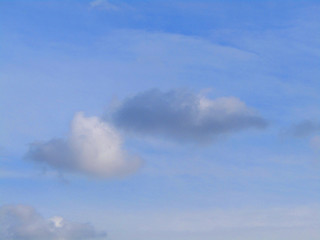 Fototapeta na wymiar white clouds in the sky