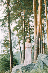 Girl in a boudoir dress in a pine forest. Standing on the rocks in a thin flying dress. Unity with nature at the wedding. Bride at sunset