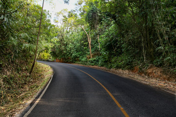 Road in the mountain forest, Curve along Skyline Drive in National Park