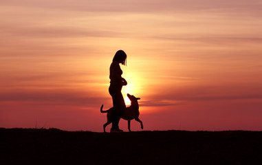 Fototapeta premium The girl and the dog at sunset, the Belgian Shepherd Malinois breed, an incredible sunset, friendship and relationships, a sporty girl