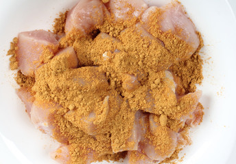 Piece of raw chicken meat on a white background