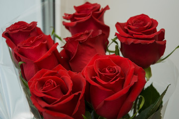 Red roses as symbol of love and passion in the bouquet