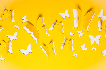 Beautiful paper butterflies