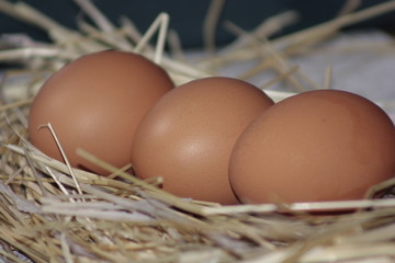 brown eggs in a basket