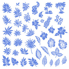 Fototapeta na wymiar Tropical plant illustration material,