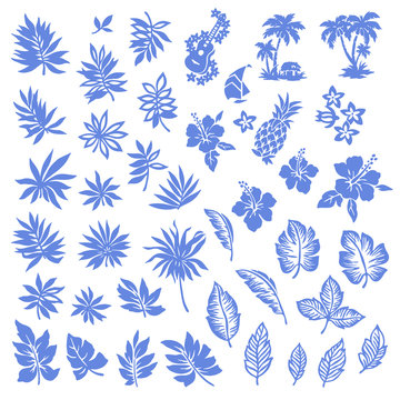 Tropical plant illustration material,