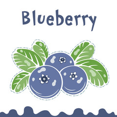 Blueberry vector illustration, berries images. Doodle Blueberry vector illustration in violet blue and green color. Blueberry berries images for menu, package design. Cartoon berries images of