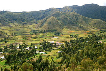 Fototapeta premium Stunning lush agricultural terraces of Cusco region countryside, Sacred Valley of the Incas, Peru