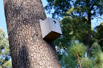 House of Birds made of wood