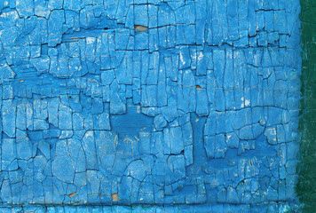 Old wooden background with remains of pieces of scraps of old paint on wood. Texture of an old tree, vintage wood background peeling paint. old blue board with cracked paint