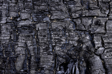 Wood background. Burnt wood. The black