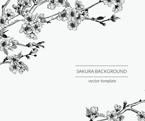 Hand drawn vintage sakura branches background. Botanical graphic sketch illustration template.