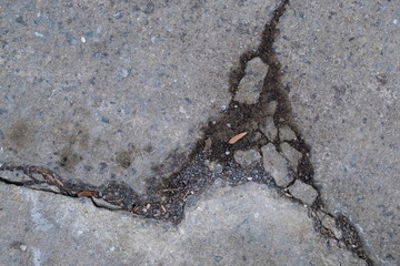 Creacks in a Sidewalk