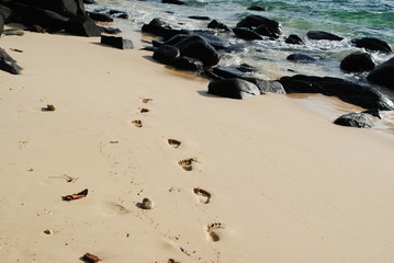 footprints on the beach