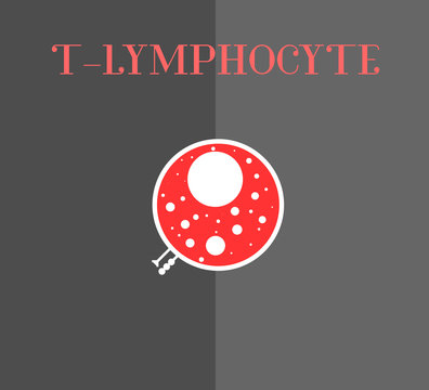 T lymphocyte illustration in red and white. Immune cell icon, logo, symbol. Cell showing Toll receptors.