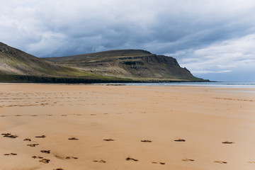 Ocean beach with yellow sand. Embankment of the ocean and Iceland.