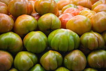 tomatoes in the market