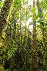parmo de Chingaza-Bogota -colombia