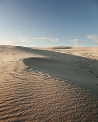 Fototapeta na wymiar desert in denmark