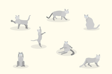 set of soft pastel cute gray cat element modern geometric flat style. vector illustration eps10