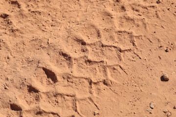Close up the Dirt Road Texture with Tire Marks