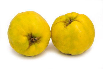 Quitten