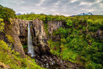 A view of Svartifoss, one of most amazing waterfalls of Iceland, Europe