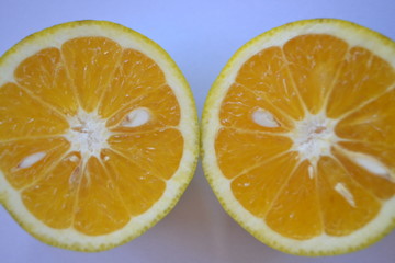 Fresh Orange slice isolated