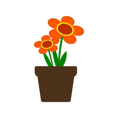 orange houseplant icon, vector