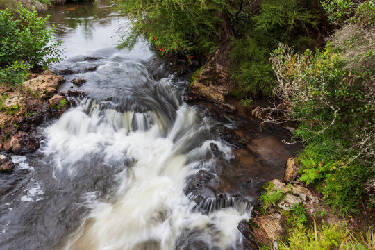 River in Te Puia Geothermal Valley, Rotorua, North Island, New Zeland
