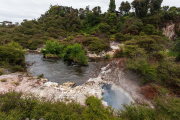 Te Puia Geothermal Valley, Rotorua, North Island, New Zeland