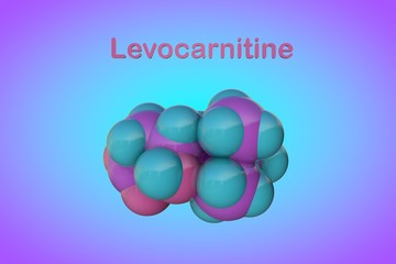 Molecular model of levocarnitine, L-carnitine, vitamin B11. Scientific background. 3d illustration
