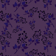 Berry sample. Branches of black currant on a purple background.