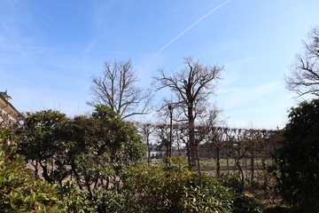 Schlosspark Pillnitz, Schloss Pillnitz, Frühling, März, 2019