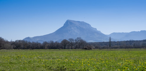 Spring flowers in meadow and mountain range in spring in Sakana, Navarra