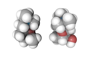 Molecular model of muscarine. Atoms are represented as spheres with conventional color coding: hydrogen (white), carbon (grey), oxygen (red), nitrogen (blue). 3d illustration