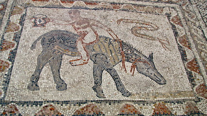 Morocco;mozaic of  Roman city Volubilis