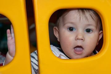 Baby boy is posing through a plastic window