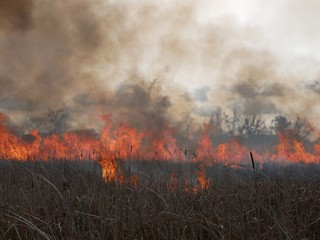 Fototapeta na wymiar Polonne / Ukraine - 21 February 2019: Natural disaster, fire destroying cane grass and bush at riverbank