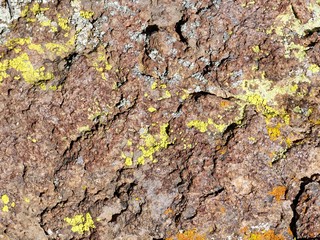 Rough, Graystone Stone Surface with Yellow Lichen Growing on It