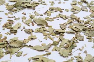 (Herb) Image of mate 