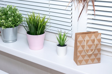 Green plants in flower pots on window sill, bright modern interior decor