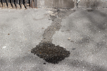 Pavement asphalt dog pee urine leak puddle detail